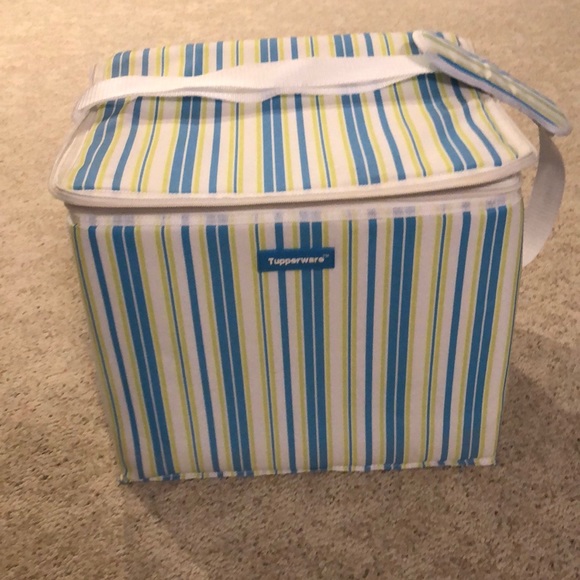 Tupperware picnic insulated bag or grocery bag